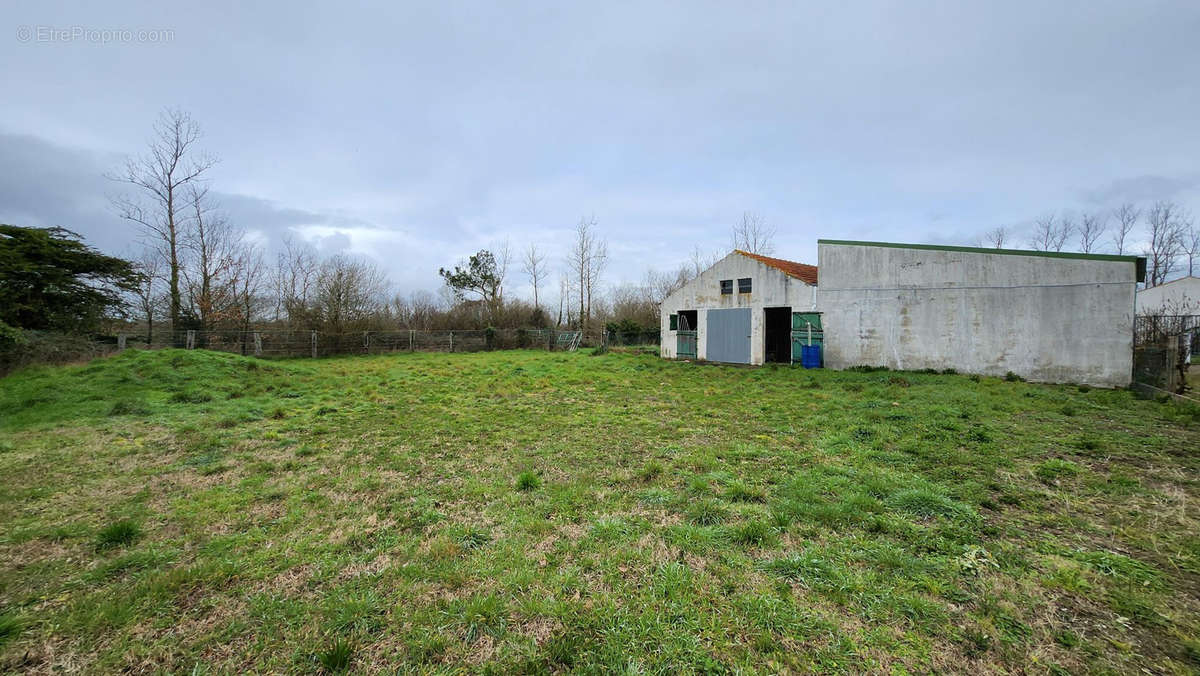 Parking à SAINT-HILAIRE-DE-RIEZ