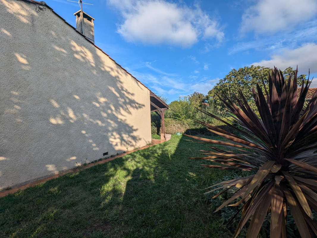 Maison à VILLENEUVE-TOLOSANE