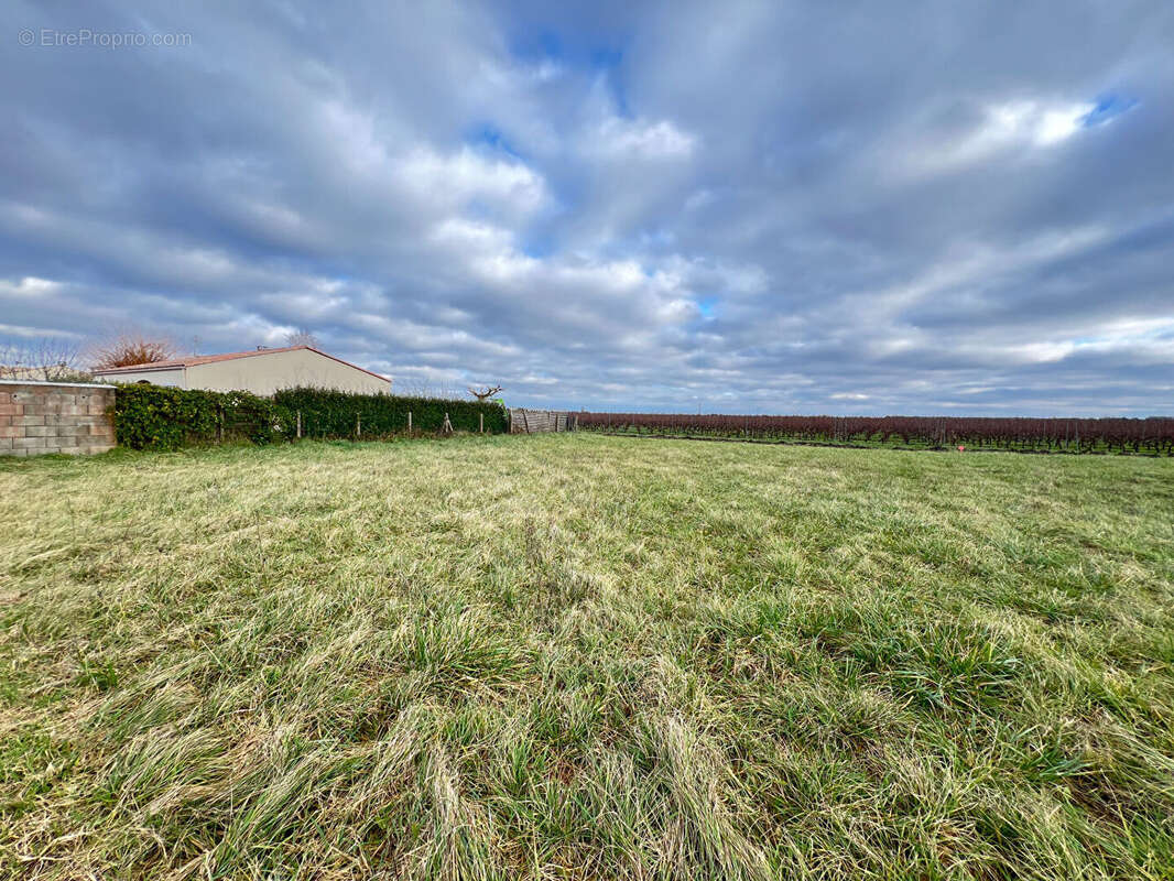 Terrain à ARVERT