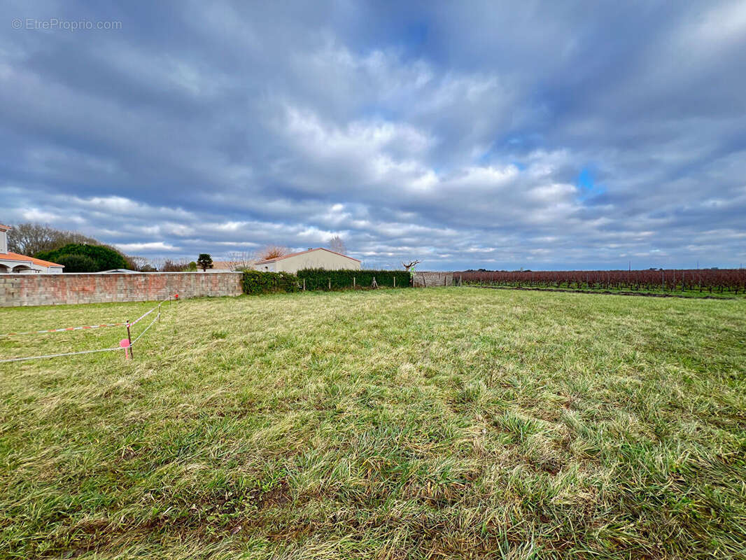 Terrain à ARVERT