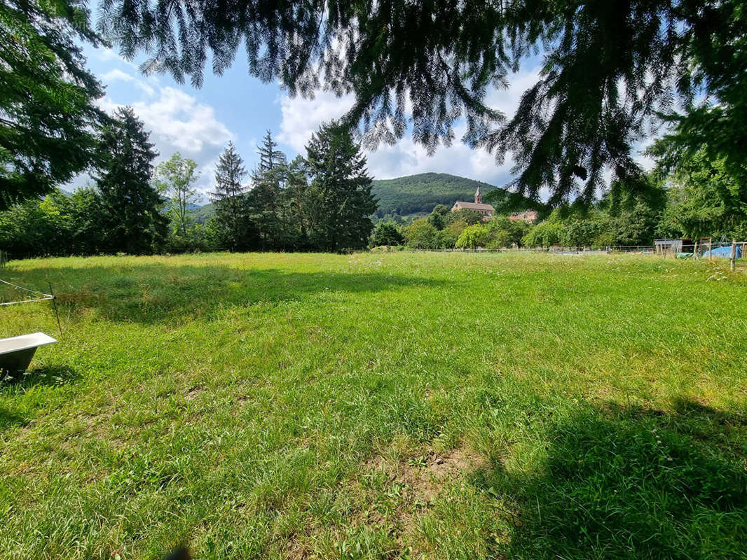 Appartement à BUHL