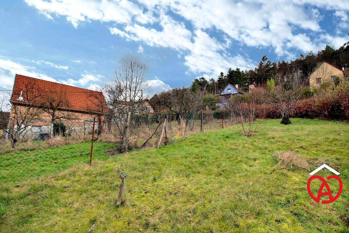 Terrain à NEUBOIS