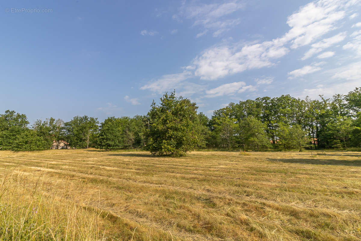 Terrain à LA FERTE-IMBAULT