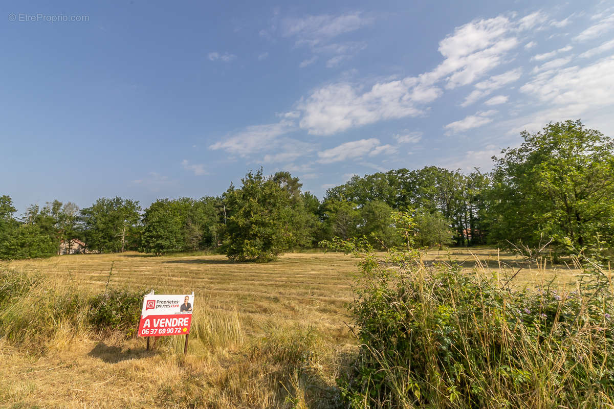 Terrain à LA FERTE-IMBAULT