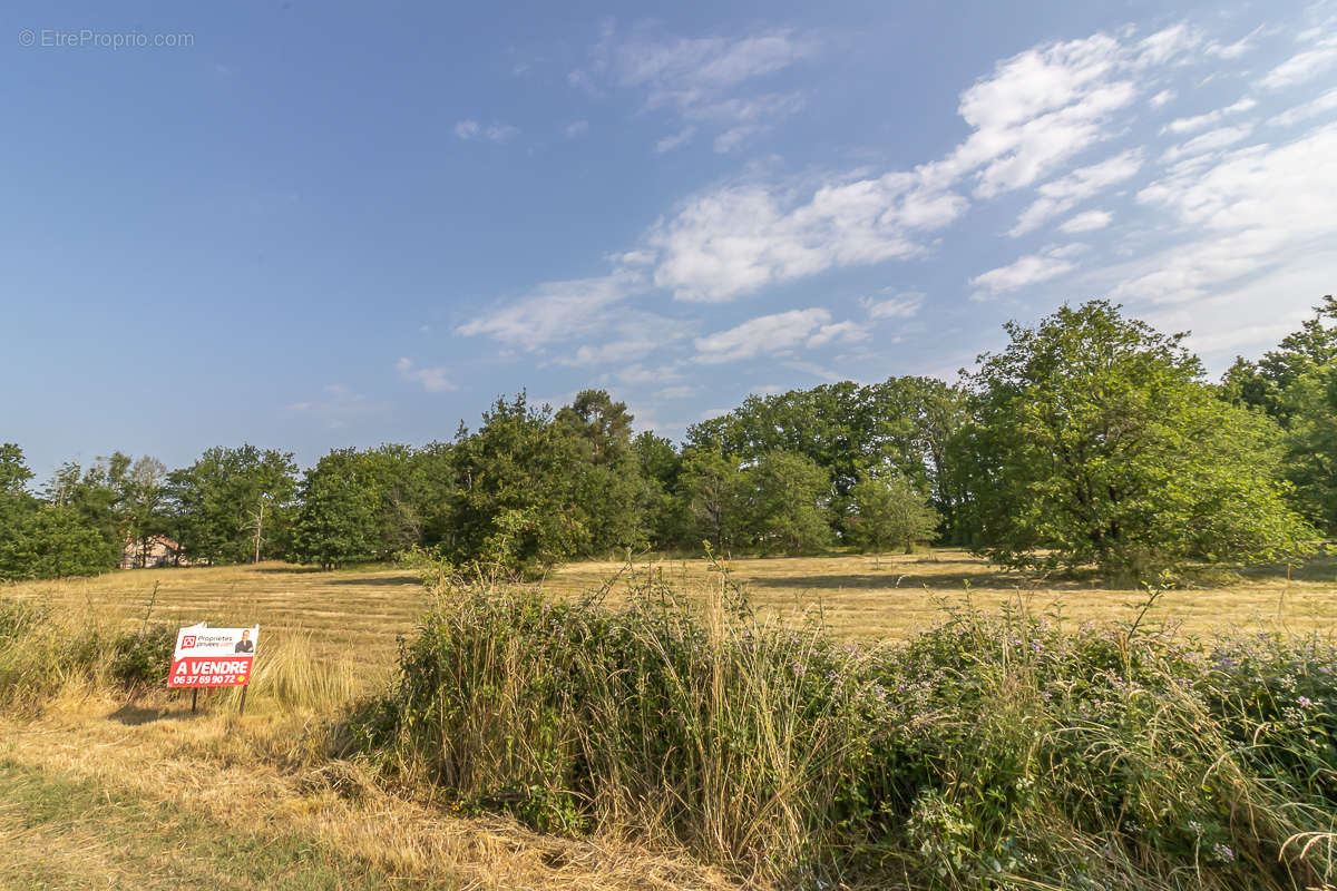 Terrain à LA FERTE-IMBAULT