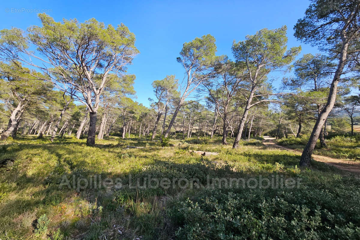 Terrain à ORGON