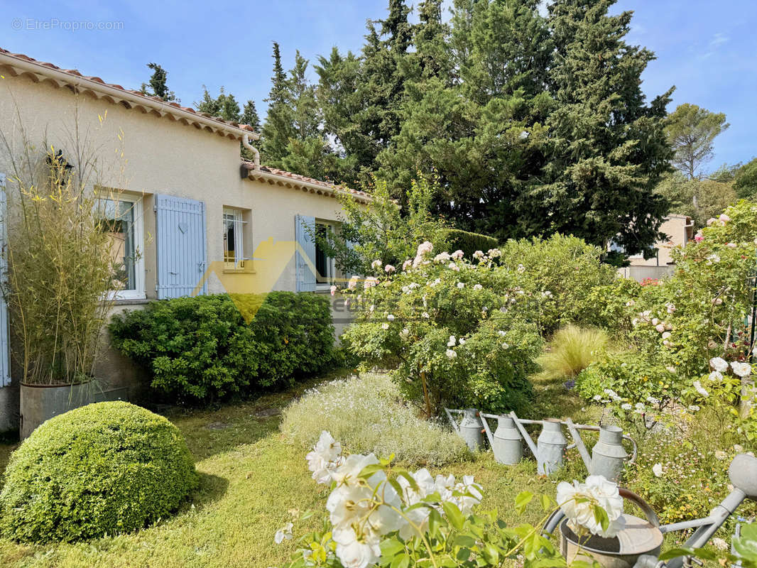 Maison à VAISON-LA-ROMAINE