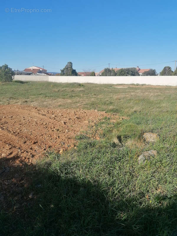 Terrain à SAINT-NAZAIRE-D&#039;AUDE