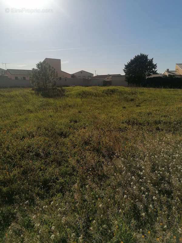 Terrain à SAINT-NAZAIRE-D&#039;AUDE