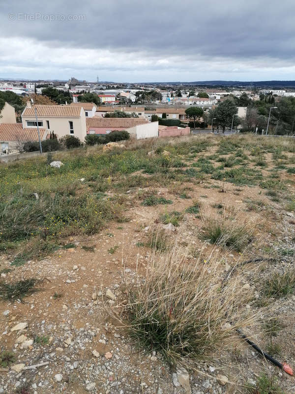 Terrain à NARBONNE