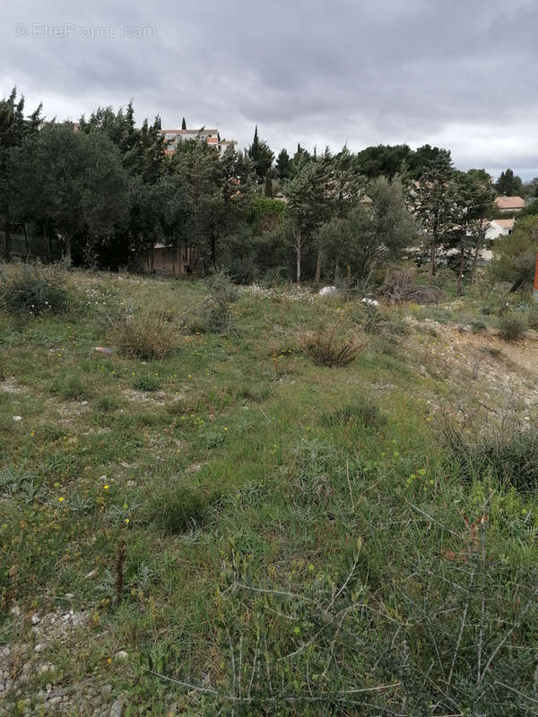 Terrain à NARBONNE