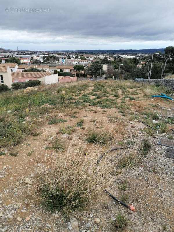 Terrain à NARBONNE