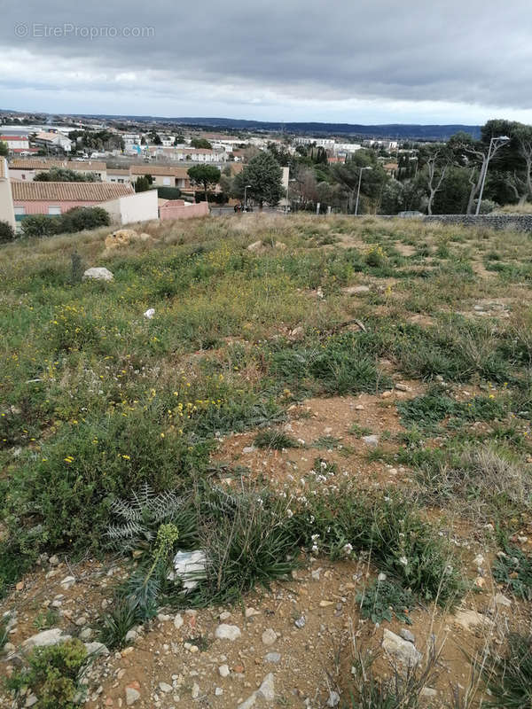 Terrain à NARBONNE