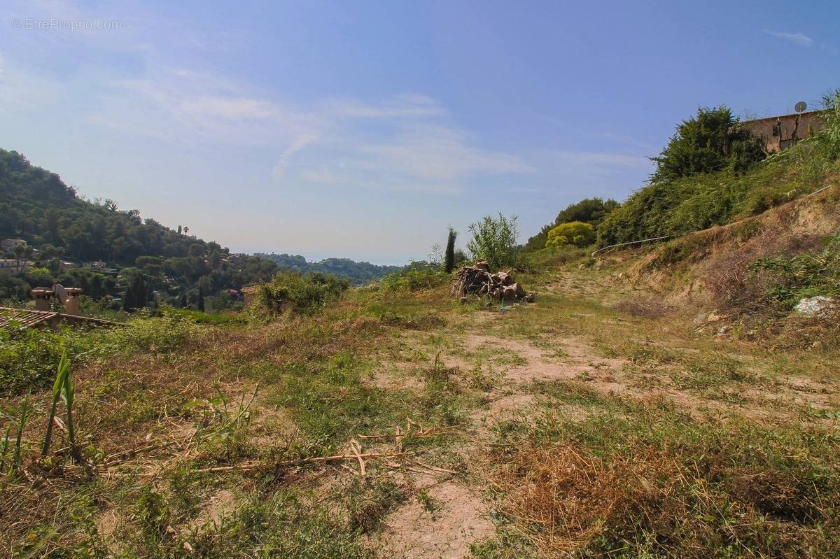 Terrain à CASTELLAR