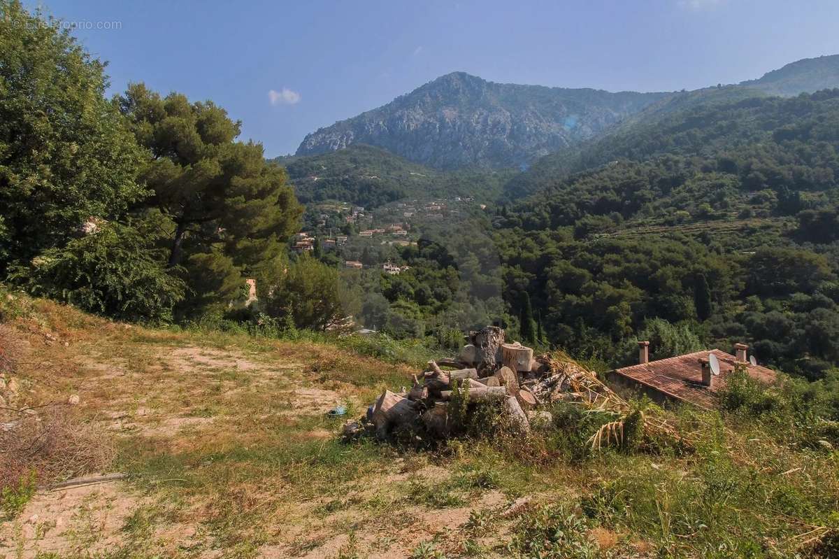 Terrain à CASTELLAR