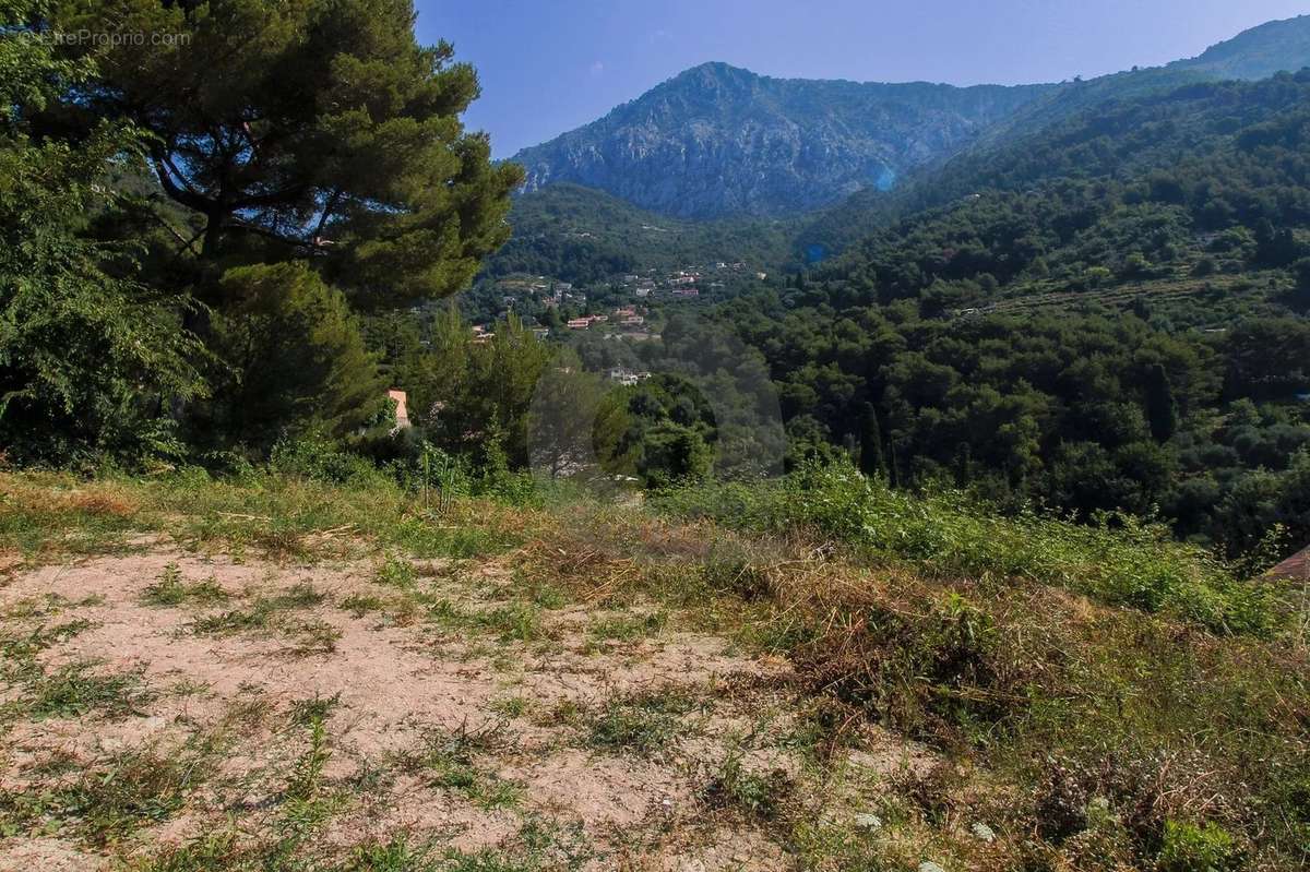 Terrain à CASTELLAR