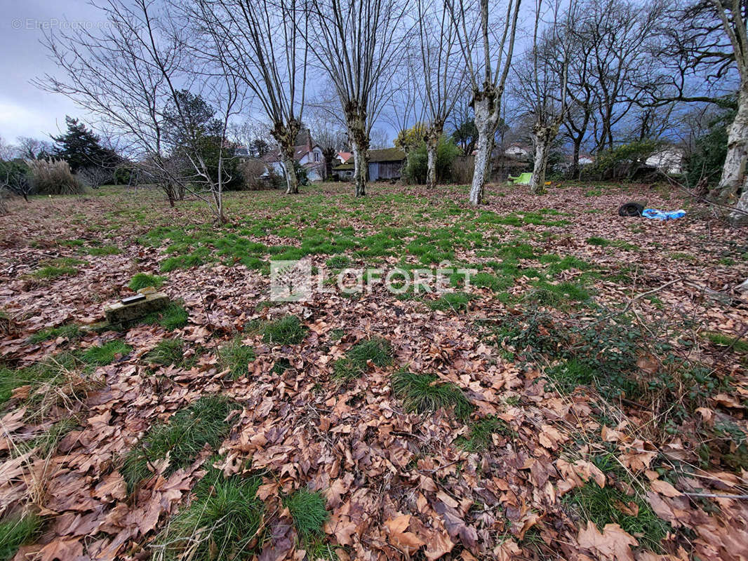 Terrain à SOLFERINO