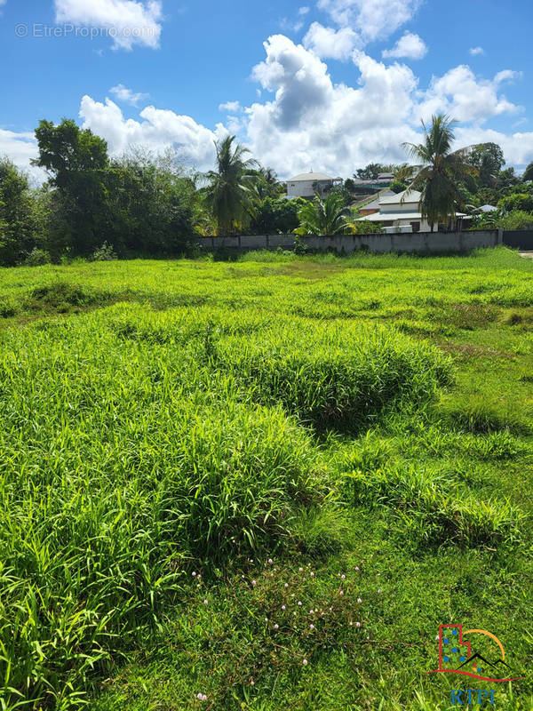 Terrain à LES ABYMES