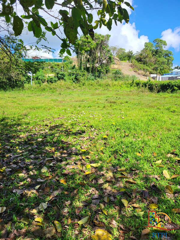 Terrain à LES ABYMES