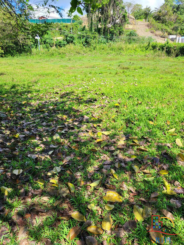 Terrain à LES ABYMES