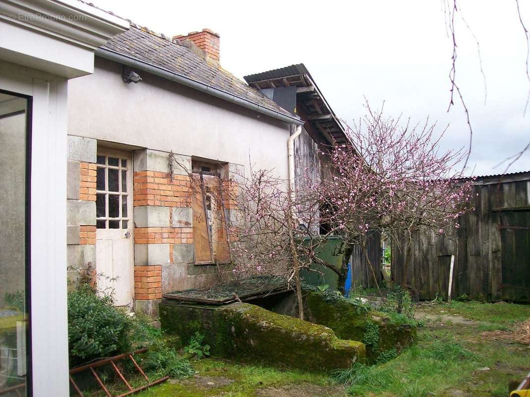 Maison à LA CHAPELLE-DE-BRAIN