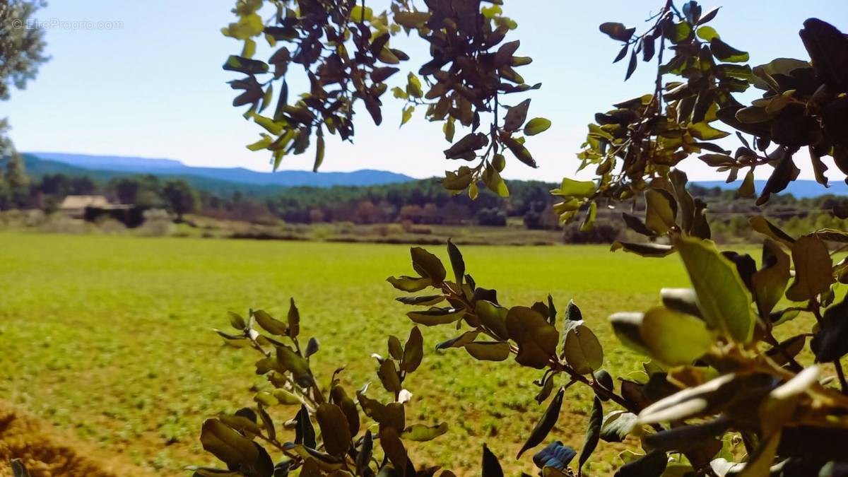 Terrain à PERTUIS