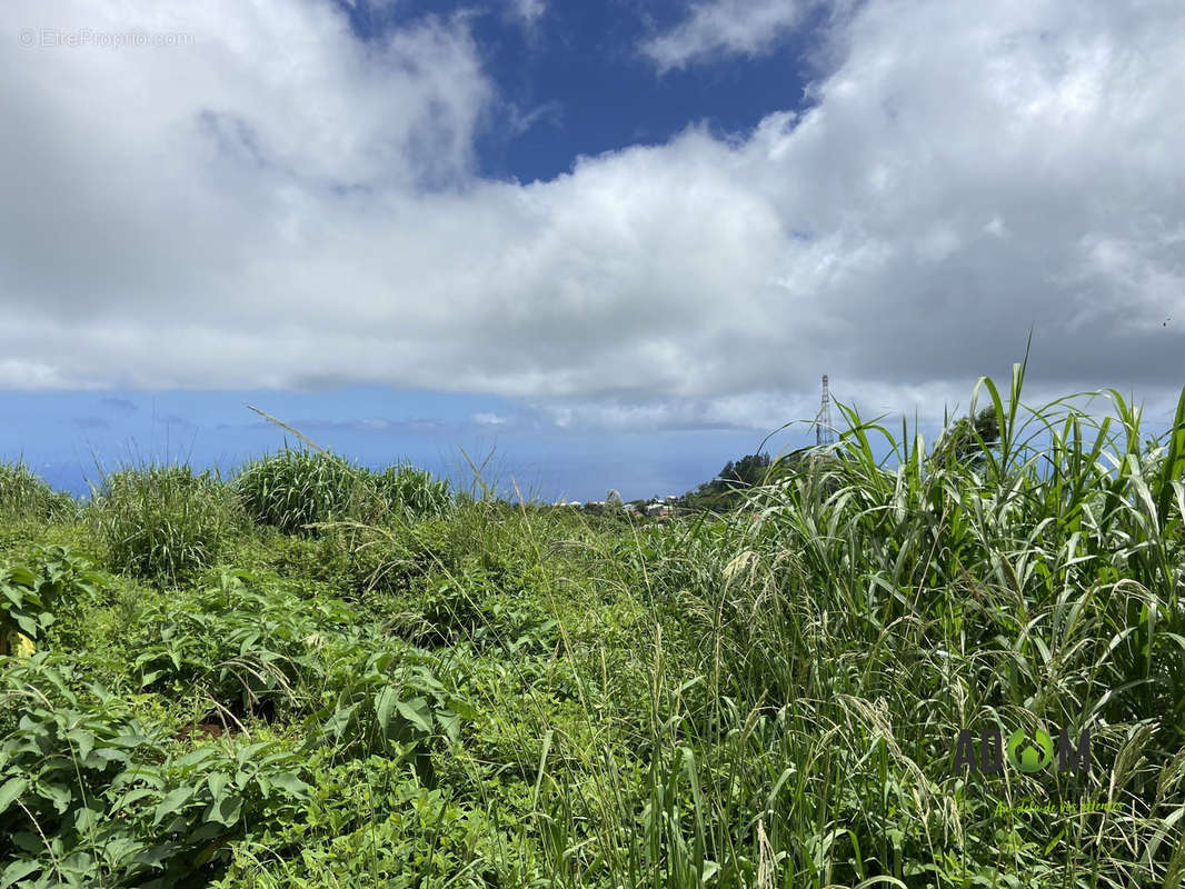 Terrain à LE PORT