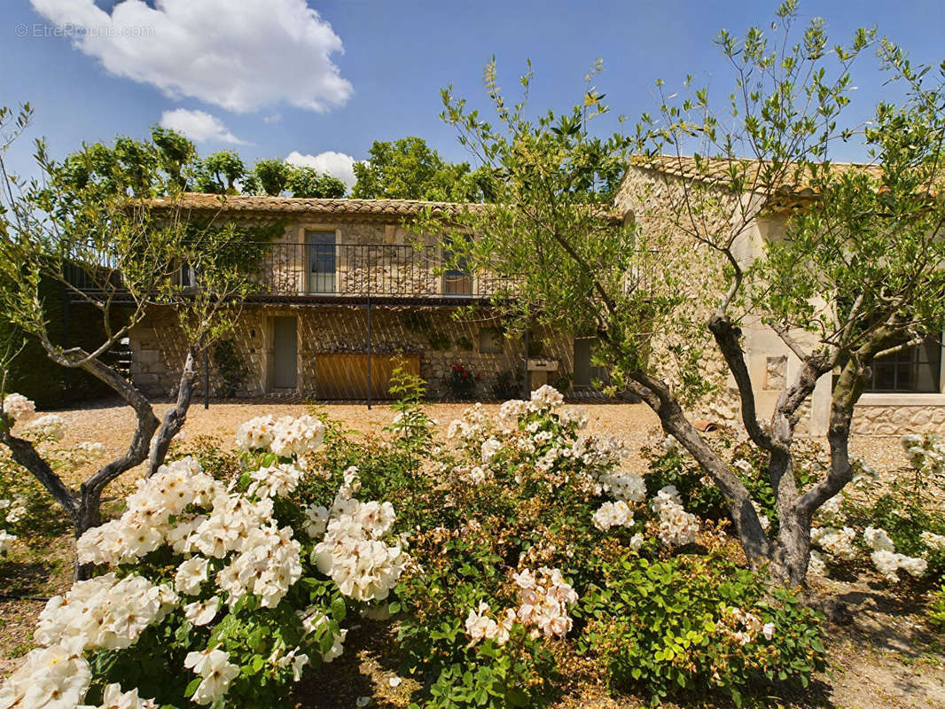 Maison à SAINT-REMY-DE-PROVENCE