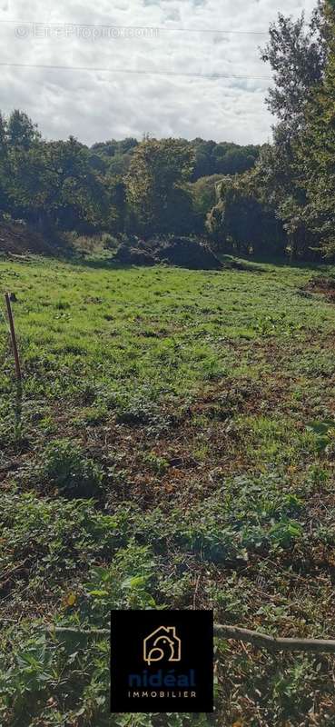 Terrain à SAINT-PIERRE-LA-GARENNE