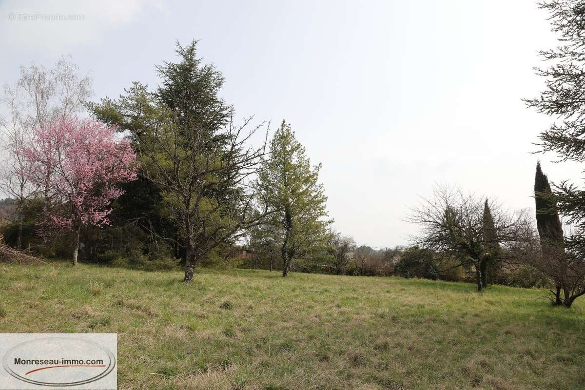 Terrain à LA ROCHE-VINEUSE