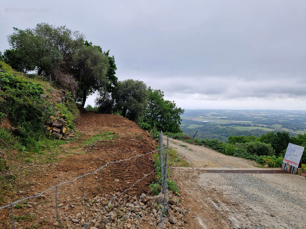 Terrain à LINGUIZZETTA