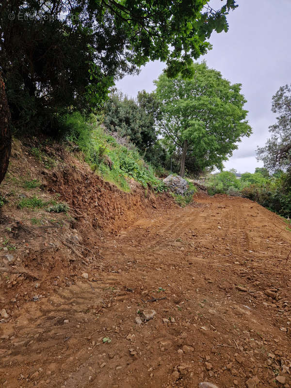 Terrain à LINGUIZZETTA