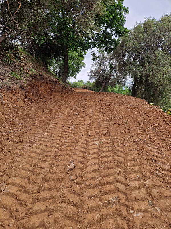 Terrain à LINGUIZZETTA