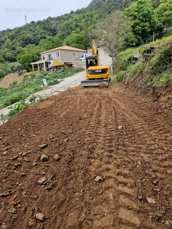 Terrain à LINGUIZZETTA