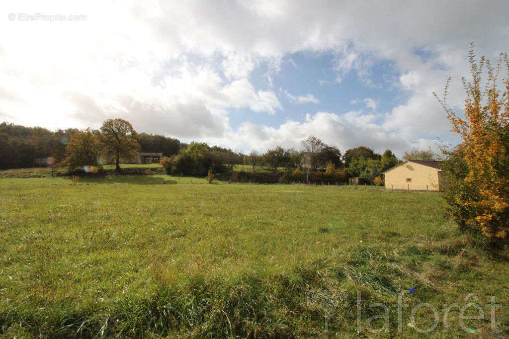 Terrain à SAINT-PIERRE-DE-COLE