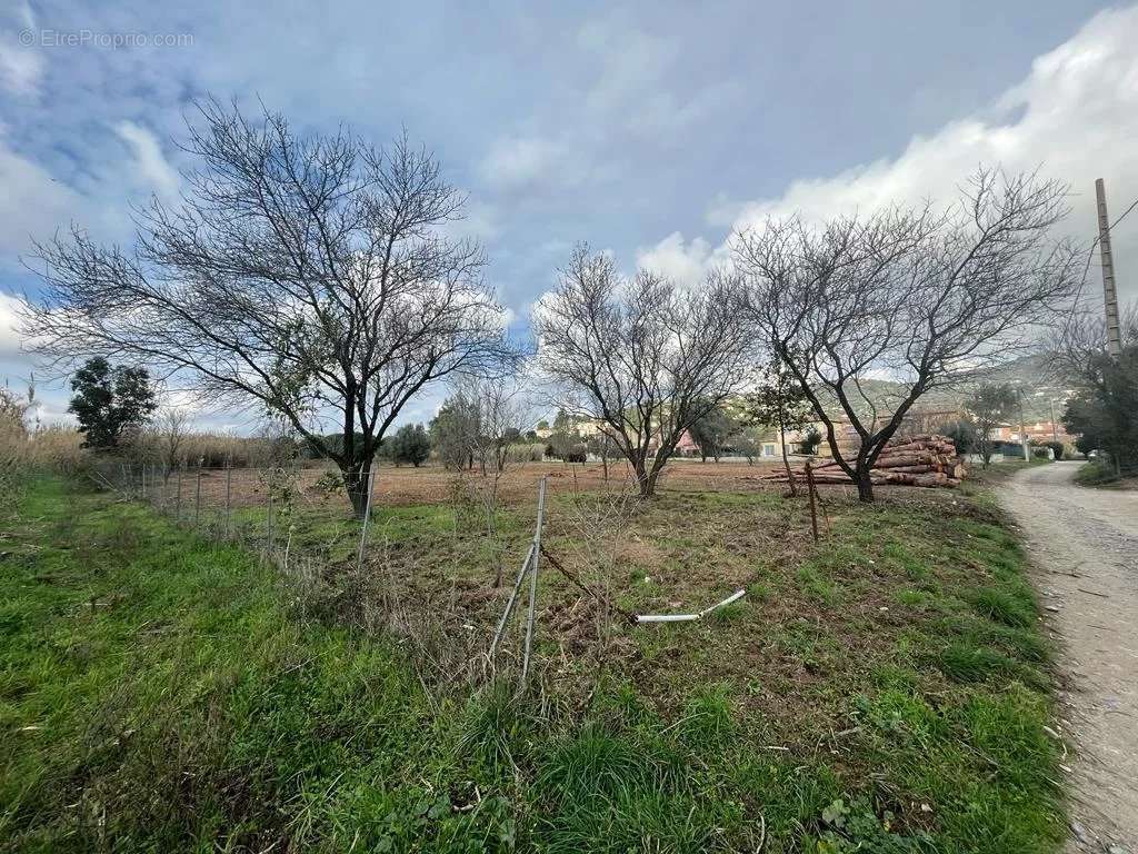 Terrain à BORMES-LES-MIMOSAS