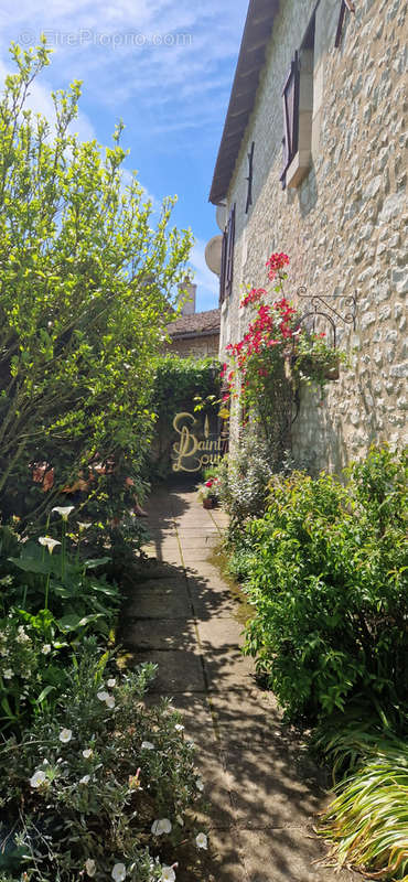 Maison à CHINON