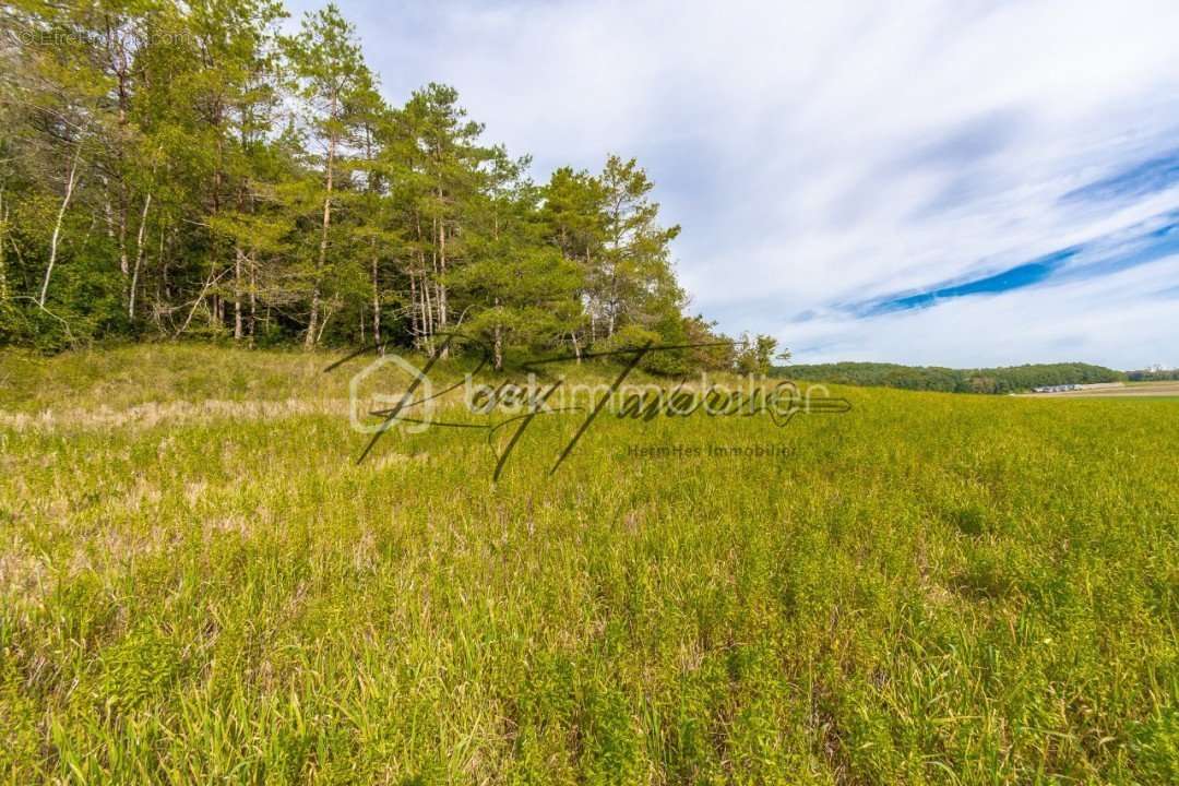 Terrain à NANTEAU-SUR-LUNAIN