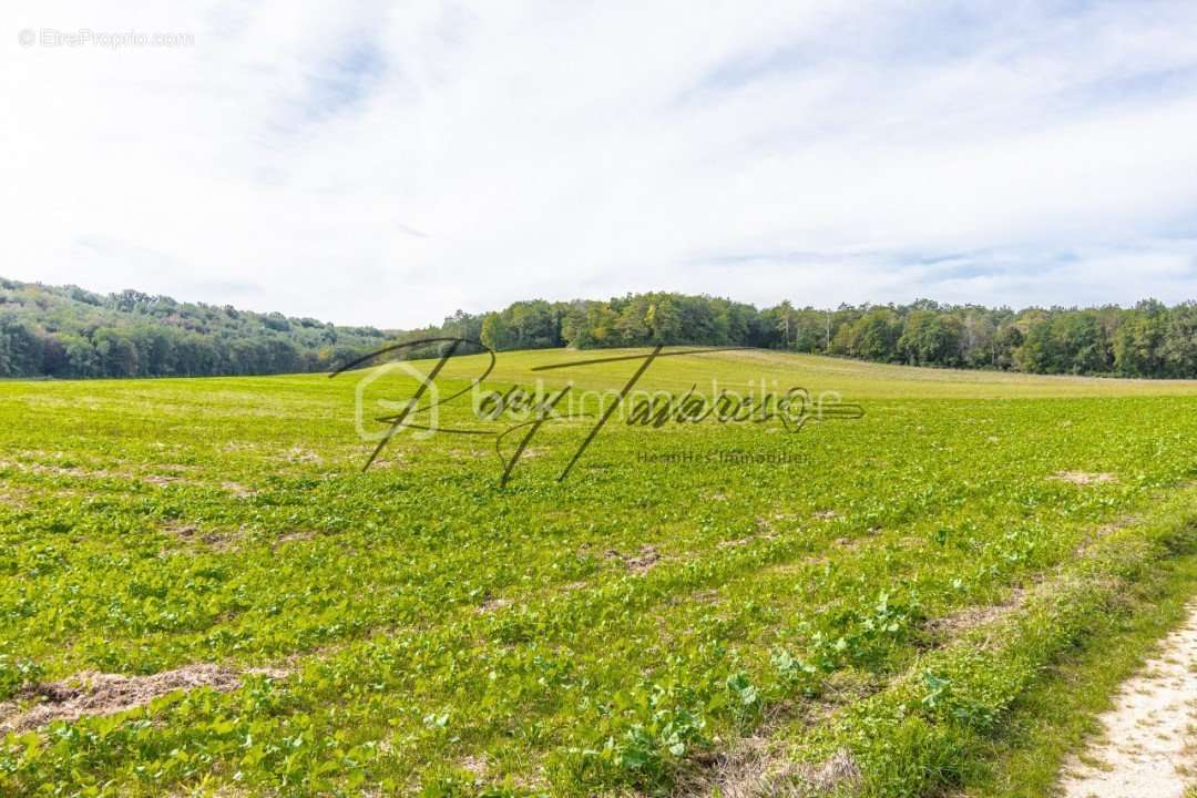 Terrain à NANTEAU-SUR-LUNAIN