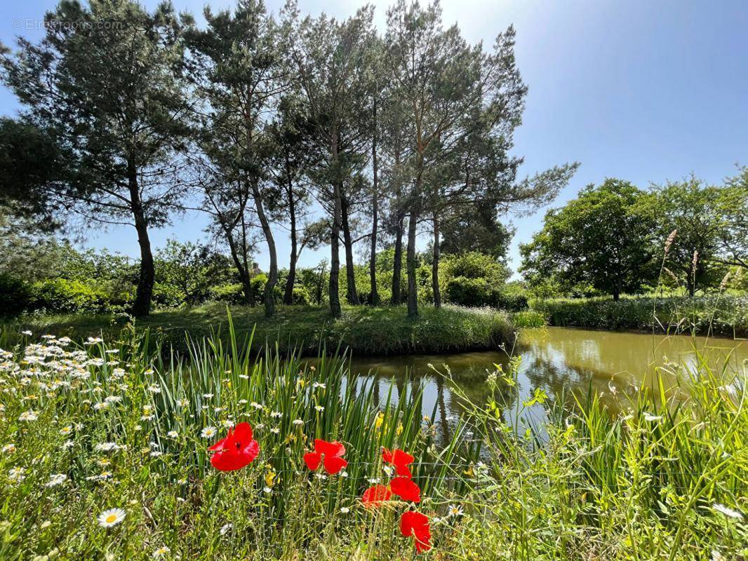 Terrain à SAINT-HILAIRE-DE-CLISSON