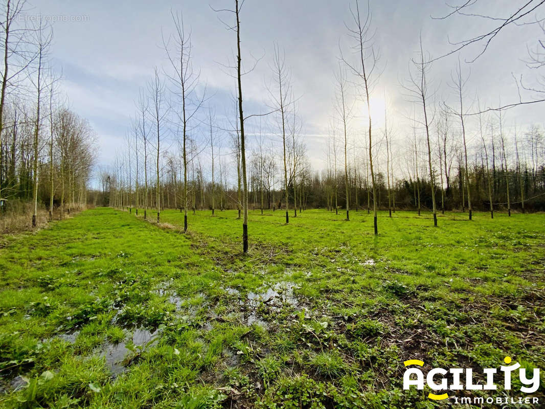 Terrain à SAINT-AMAND-LES-EAUX