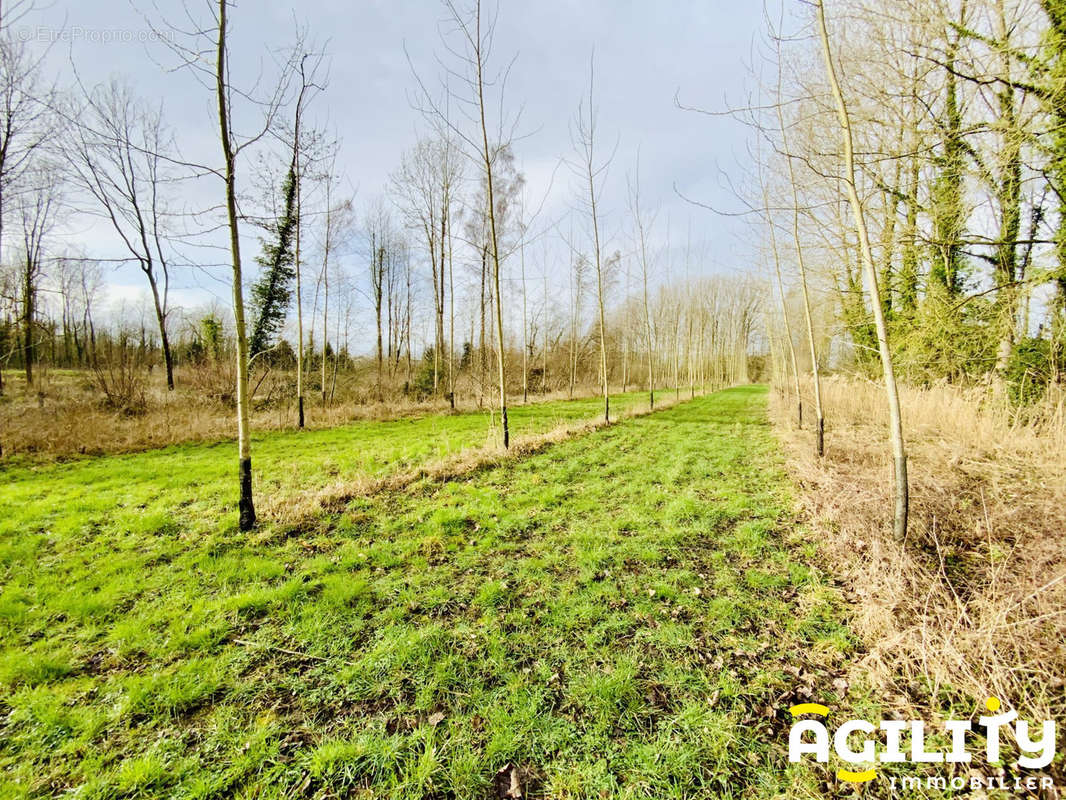 Terrain à SAINT-AMAND-LES-EAUX