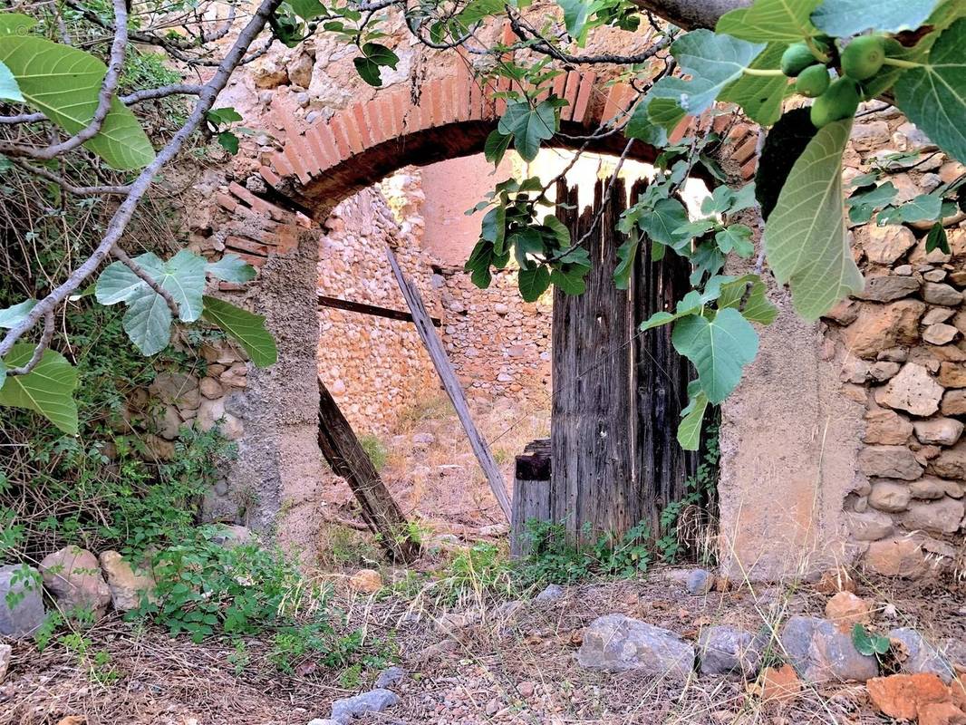 Terrain à CAVES