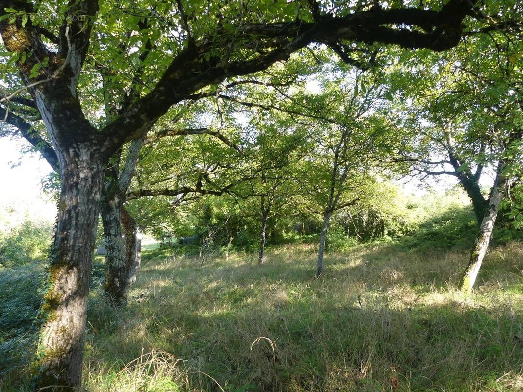 Terrain à BOURDEILLES