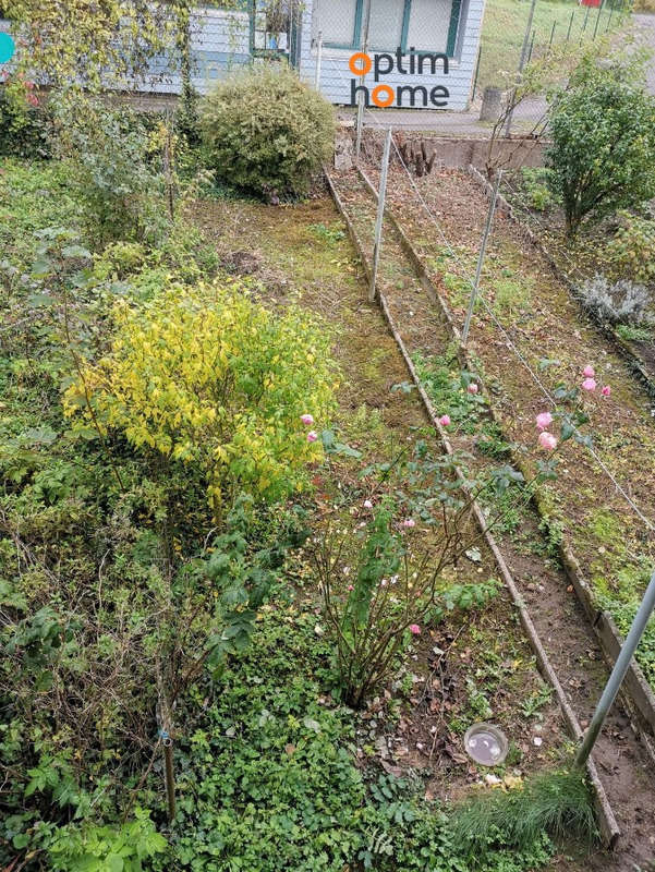 Appartement à ALGRANGE