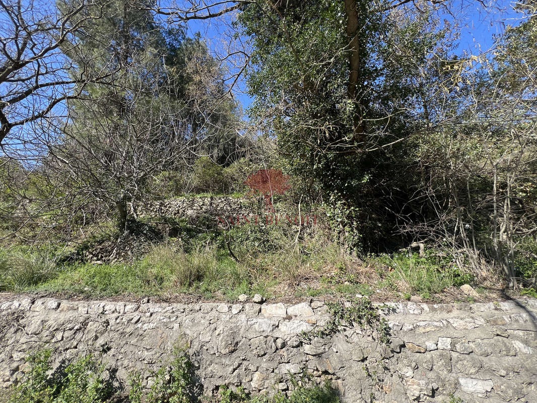 Terrain à SAINT-GUILHEM-LE-DESERT