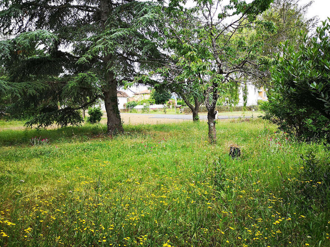 Terrain à SAVIGNEUX