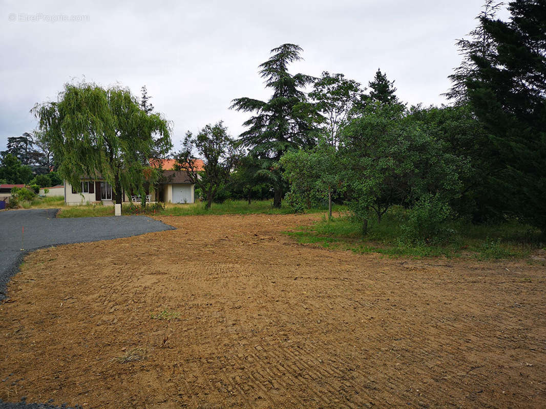 Terrain à SAVIGNEUX