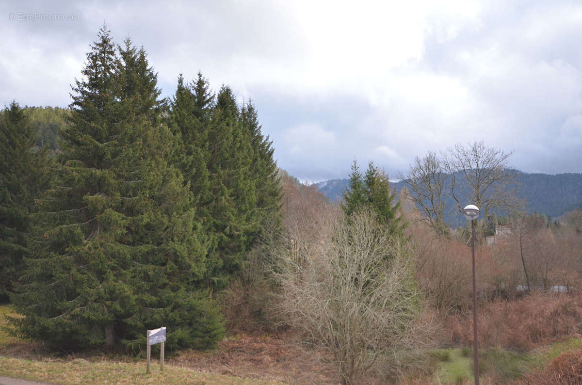 Appartement à GERARDMER