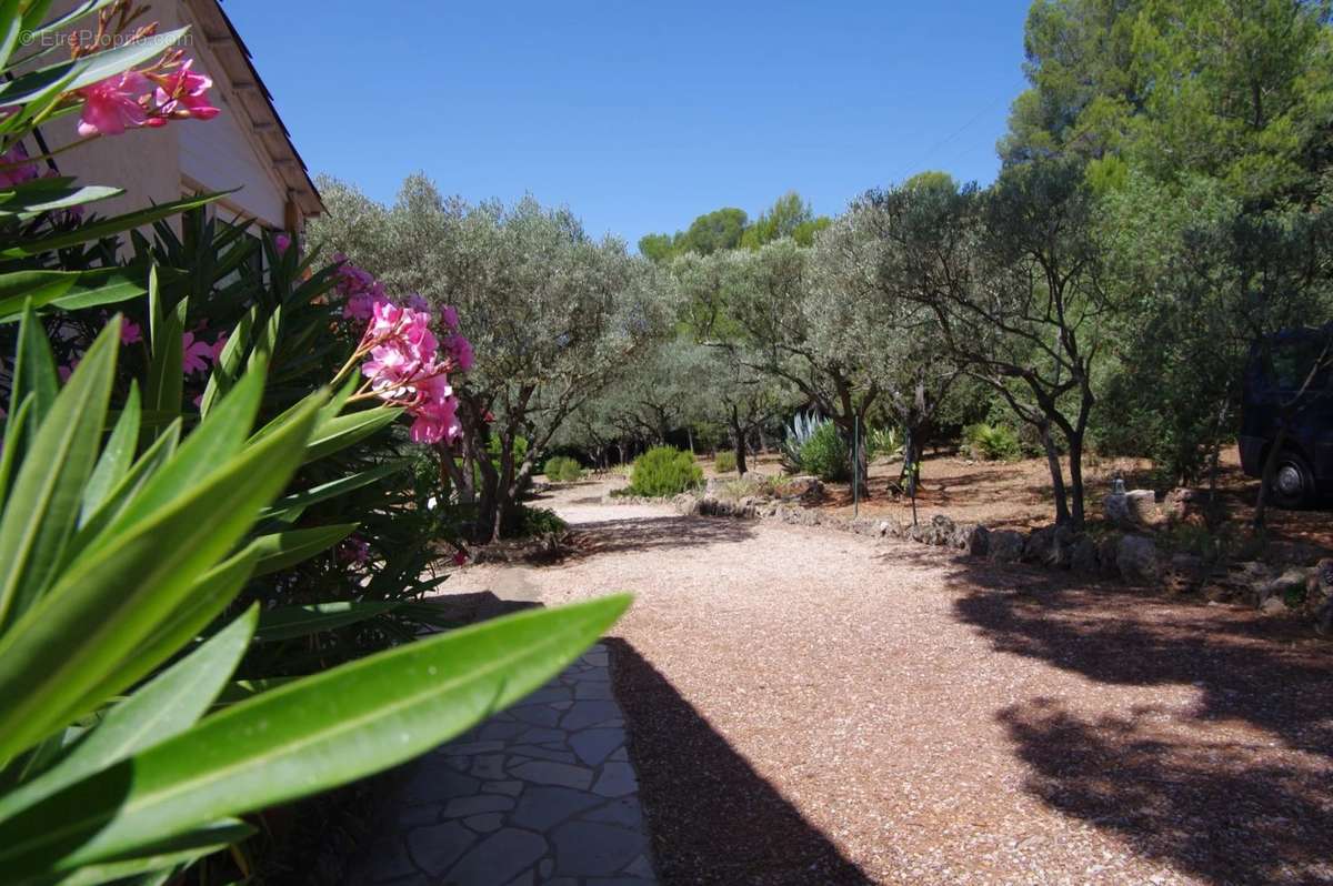 Maison à TRANS-EN-PROVENCE